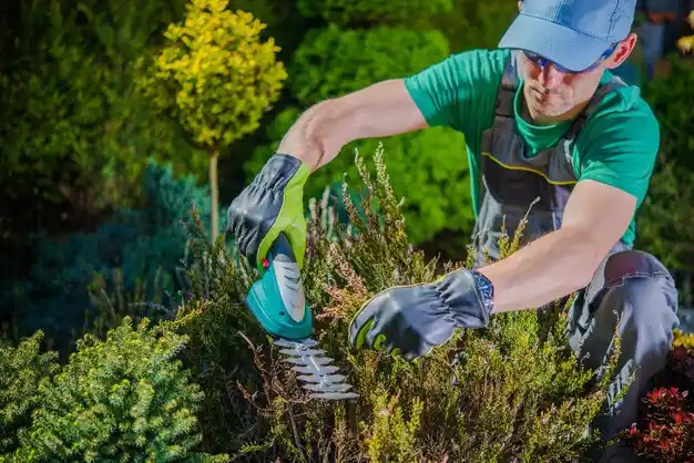 landscaping services Inez